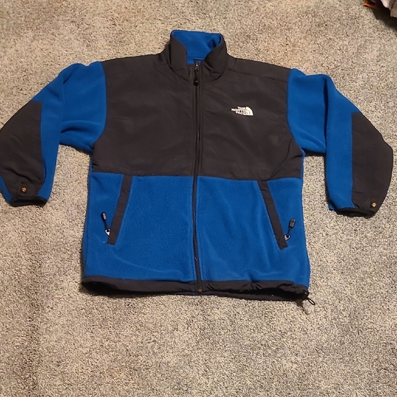 The North Face Other - The North Face Black and Blue Fleece Jacket